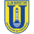 康塞普西翁大学